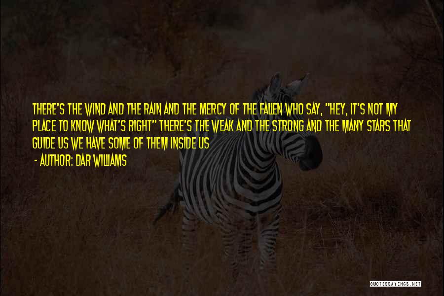 Dar Williams Quotes: There's The Wind And The Rain And The Mercy Of The Fallen Who Say, Hey, It's Not My Place To