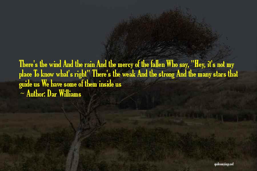 Dar Williams Quotes: There's The Wind And The Rain And The Mercy Of The Fallen Who Say, Hey, It's Not My Place To