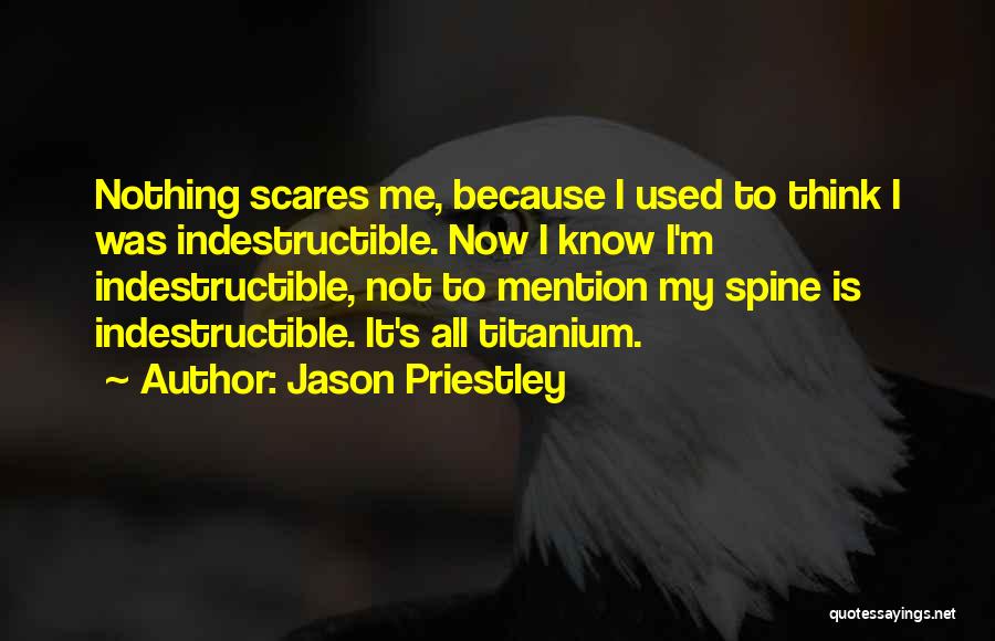 Jason Priestley Quotes: Nothing Scares Me, Because I Used To Think I Was Indestructible. Now I Know I'm Indestructible, Not To Mention My