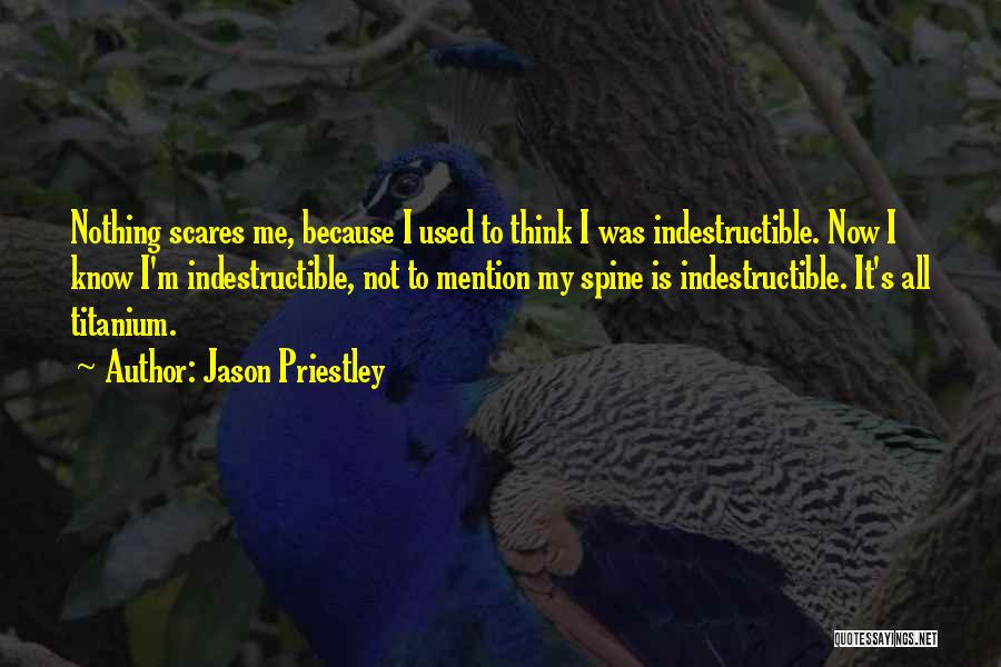 Jason Priestley Quotes: Nothing Scares Me, Because I Used To Think I Was Indestructible. Now I Know I'm Indestructible, Not To Mention My