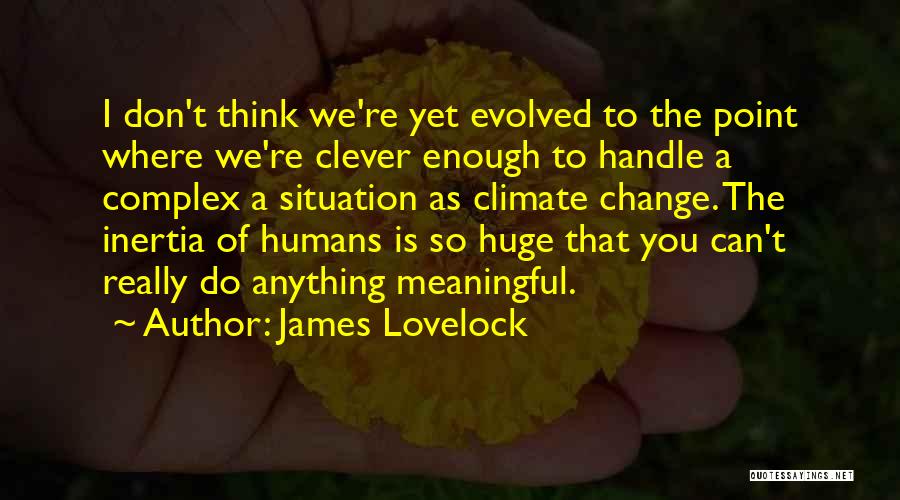 James Lovelock Quotes: I Don't Think We're Yet Evolved To The Point Where We're Clever Enough To Handle A Complex A Situation As