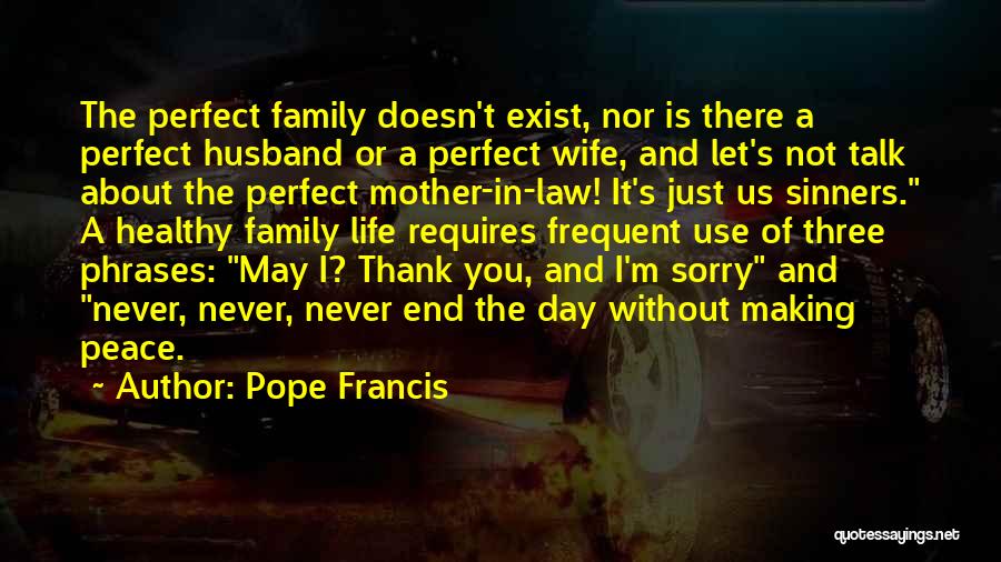 Pope Francis Quotes: The Perfect Family Doesn't Exist, Nor Is There A Perfect Husband Or A Perfect Wife, And Let's Not Talk About