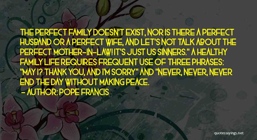 Pope Francis Quotes: The Perfect Family Doesn't Exist, Nor Is There A Perfect Husband Or A Perfect Wife, And Let's Not Talk About