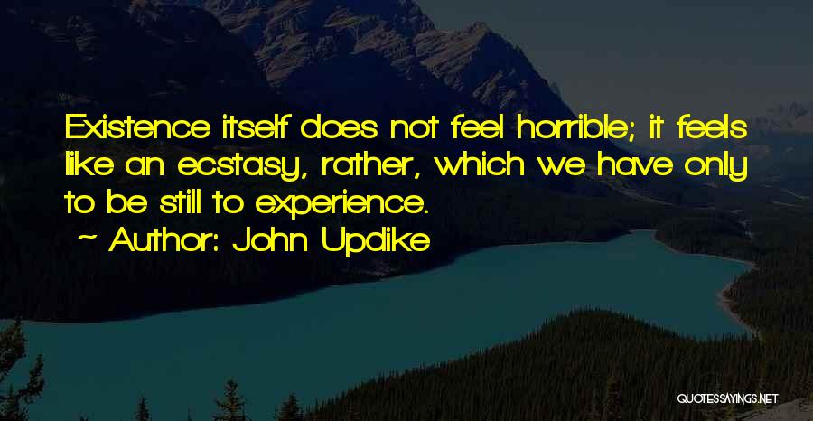 John Updike Quotes: Existence Itself Does Not Feel Horrible; It Feels Like An Ecstasy, Rather, Which We Have Only To Be Still To