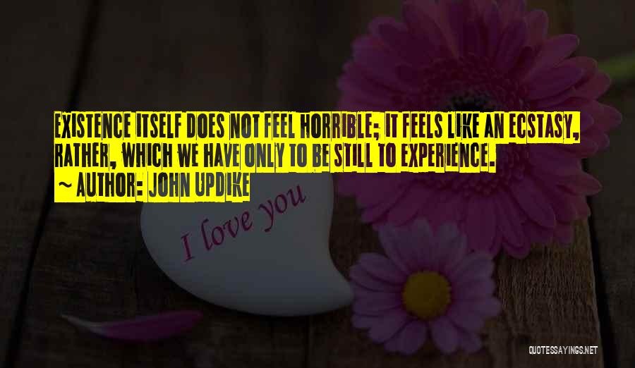 John Updike Quotes: Existence Itself Does Not Feel Horrible; It Feels Like An Ecstasy, Rather, Which We Have Only To Be Still To