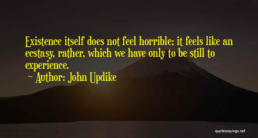 John Updike Quotes: Existence Itself Does Not Feel Horrible; It Feels Like An Ecstasy, Rather, Which We Have Only To Be Still To