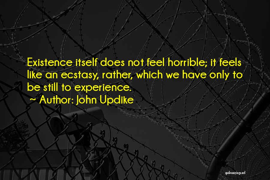 John Updike Quotes: Existence Itself Does Not Feel Horrible; It Feels Like An Ecstasy, Rather, Which We Have Only To Be Still To