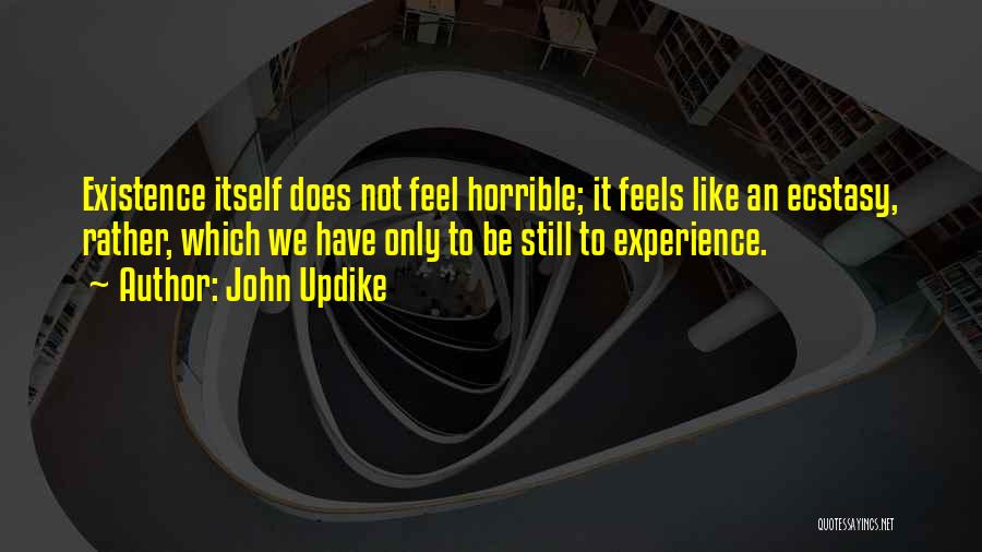 John Updike Quotes: Existence Itself Does Not Feel Horrible; It Feels Like An Ecstasy, Rather, Which We Have Only To Be Still To