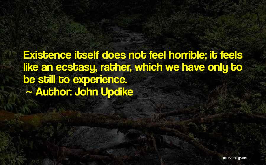 John Updike Quotes: Existence Itself Does Not Feel Horrible; It Feels Like An Ecstasy, Rather, Which We Have Only To Be Still To