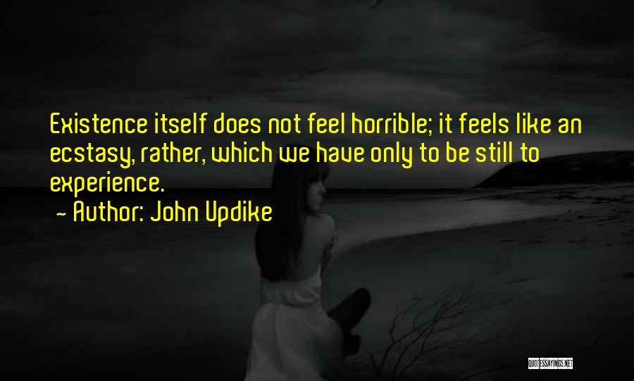 John Updike Quotes: Existence Itself Does Not Feel Horrible; It Feels Like An Ecstasy, Rather, Which We Have Only To Be Still To