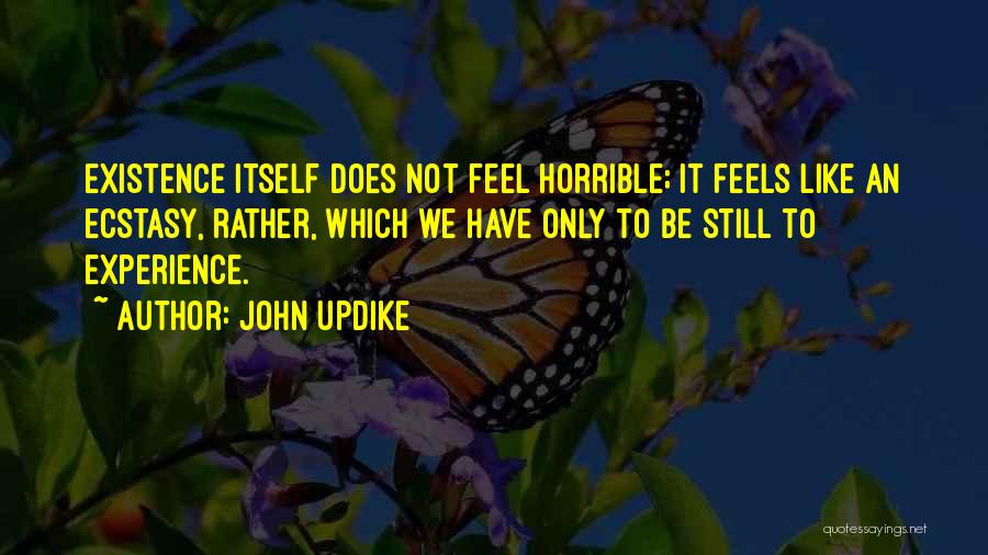 John Updike Quotes: Existence Itself Does Not Feel Horrible; It Feels Like An Ecstasy, Rather, Which We Have Only To Be Still To