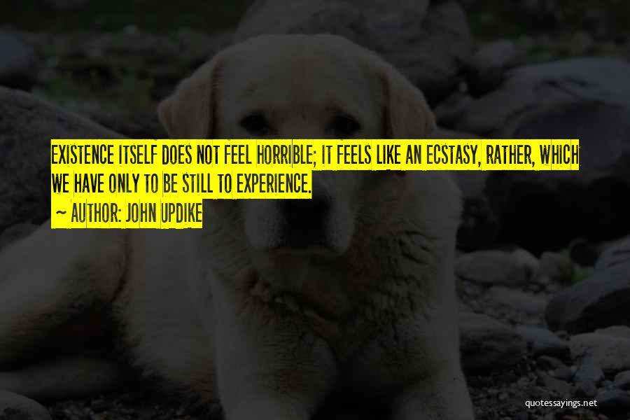 John Updike Quotes: Existence Itself Does Not Feel Horrible; It Feels Like An Ecstasy, Rather, Which We Have Only To Be Still To