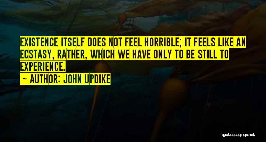 John Updike Quotes: Existence Itself Does Not Feel Horrible; It Feels Like An Ecstasy, Rather, Which We Have Only To Be Still To