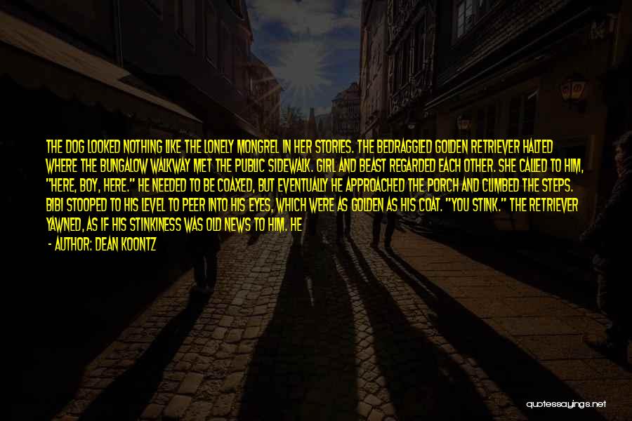 Dean Koontz Quotes: The Dog Looked Nothing Like The Lonely Mongrel In Her Stories. The Bedraggled Golden Retriever Halted Where The Bungalow Walkway