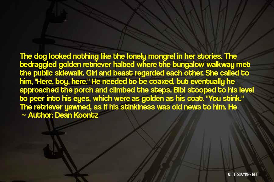 Dean Koontz Quotes: The Dog Looked Nothing Like The Lonely Mongrel In Her Stories. The Bedraggled Golden Retriever Halted Where The Bungalow Walkway