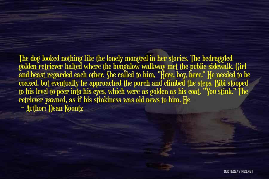 Dean Koontz Quotes: The Dog Looked Nothing Like The Lonely Mongrel In Her Stories. The Bedraggled Golden Retriever Halted Where The Bungalow Walkway
