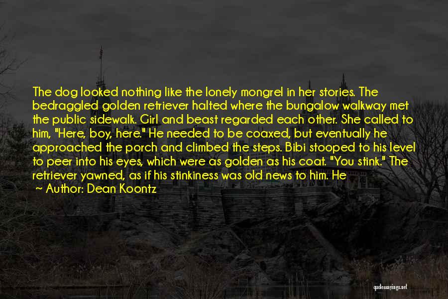 Dean Koontz Quotes: The Dog Looked Nothing Like The Lonely Mongrel In Her Stories. The Bedraggled Golden Retriever Halted Where The Bungalow Walkway