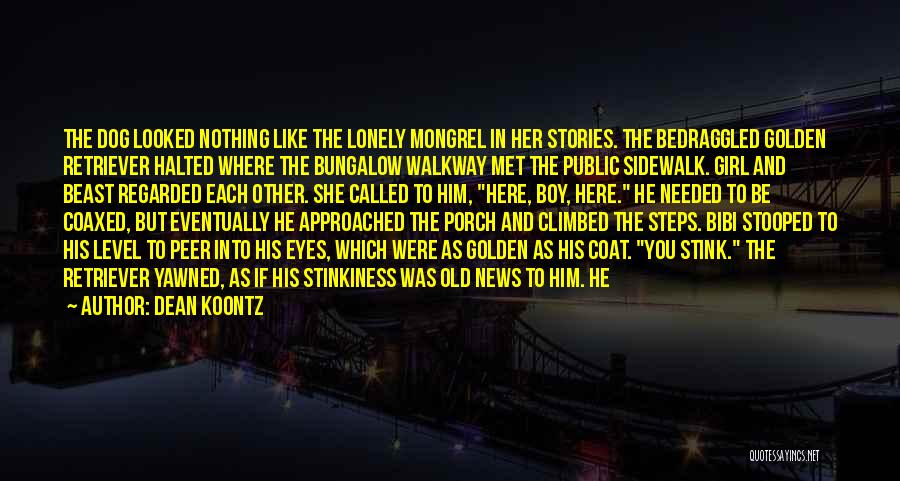 Dean Koontz Quotes: The Dog Looked Nothing Like The Lonely Mongrel In Her Stories. The Bedraggled Golden Retriever Halted Where The Bungalow Walkway