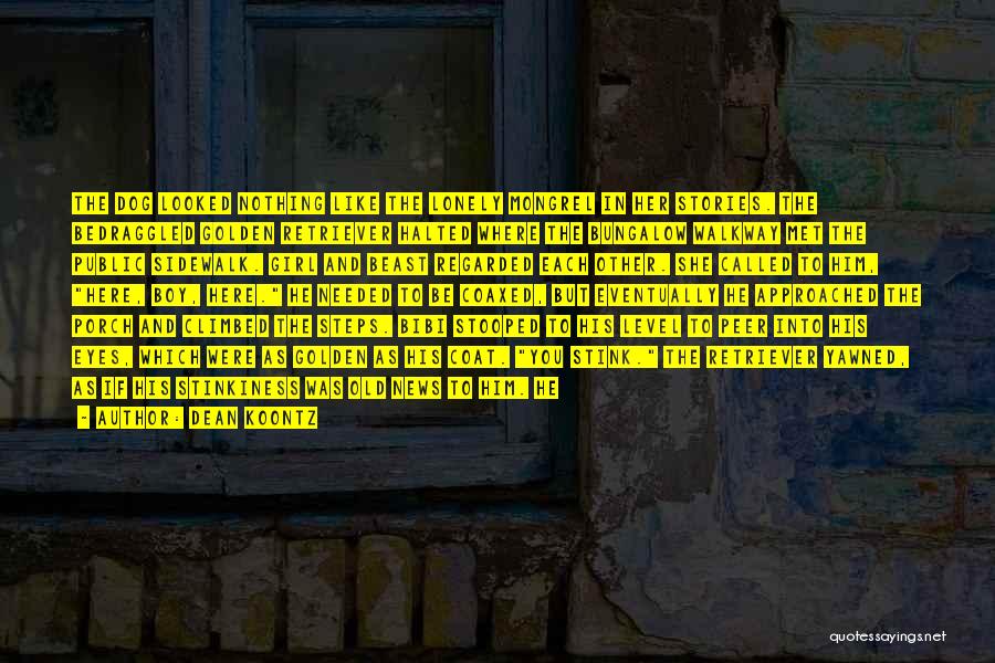 Dean Koontz Quotes: The Dog Looked Nothing Like The Lonely Mongrel In Her Stories. The Bedraggled Golden Retriever Halted Where The Bungalow Walkway