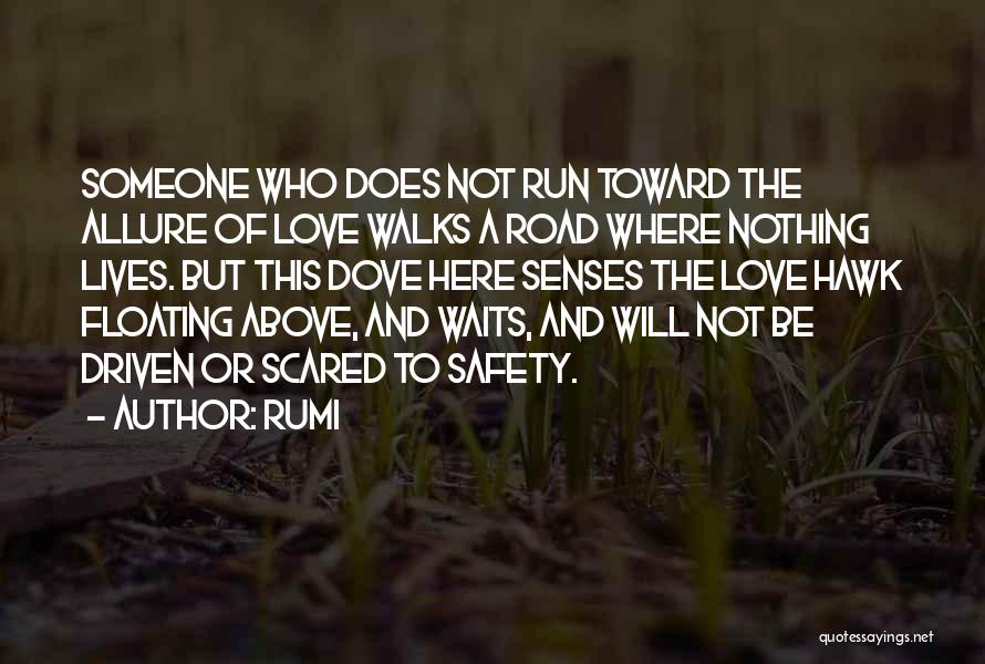 Rumi Quotes: Someone Who Does Not Run Toward The Allure Of Love Walks A Road Where Nothing Lives. But This Dove Here