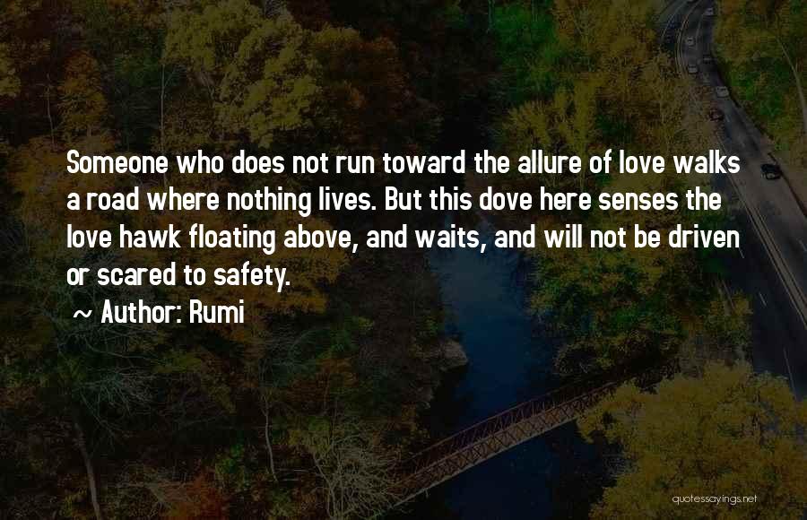 Rumi Quotes: Someone Who Does Not Run Toward The Allure Of Love Walks A Road Where Nothing Lives. But This Dove Here