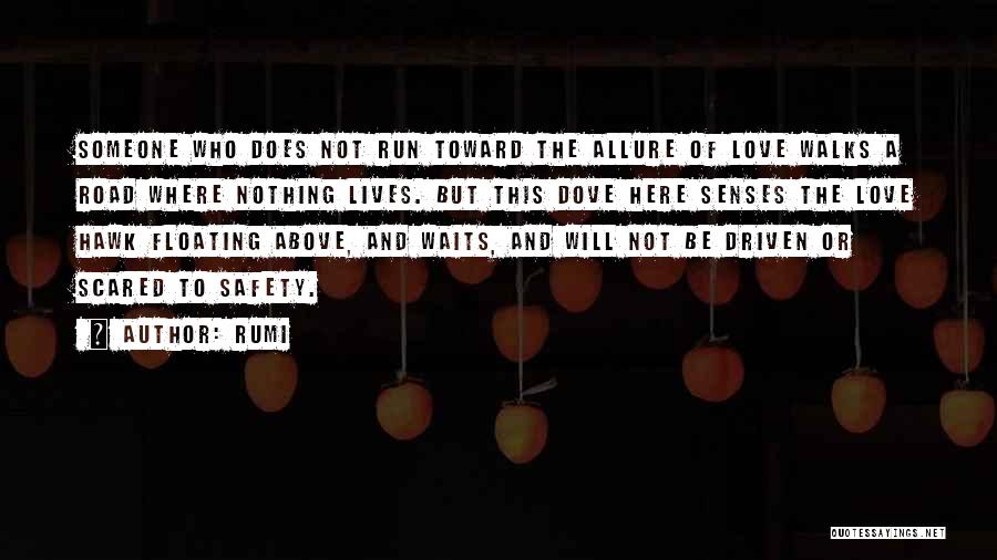 Rumi Quotes: Someone Who Does Not Run Toward The Allure Of Love Walks A Road Where Nothing Lives. But This Dove Here