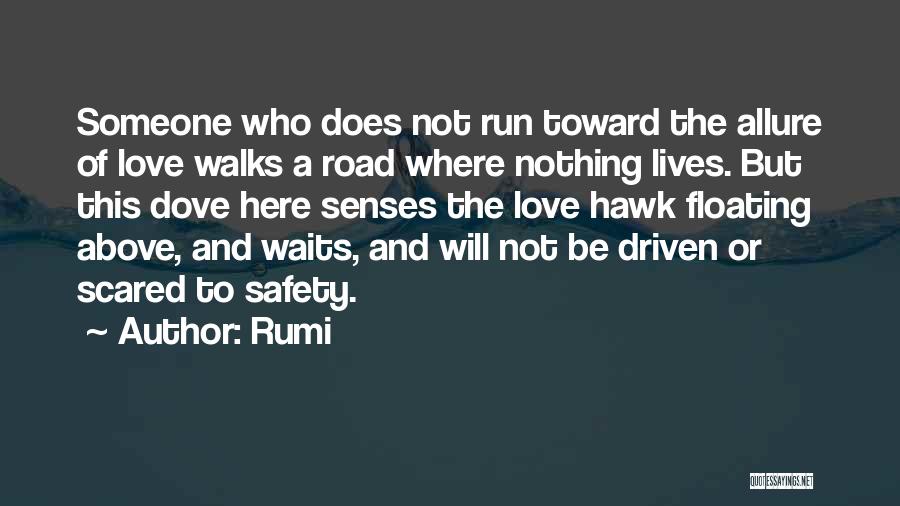 Rumi Quotes: Someone Who Does Not Run Toward The Allure Of Love Walks A Road Where Nothing Lives. But This Dove Here