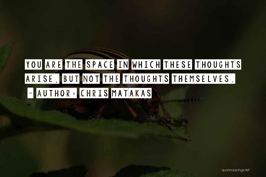 Chris Matakas Quotes: You Are The Space In Which These Thoughts Arise, But Not The Thoughts Themselves.