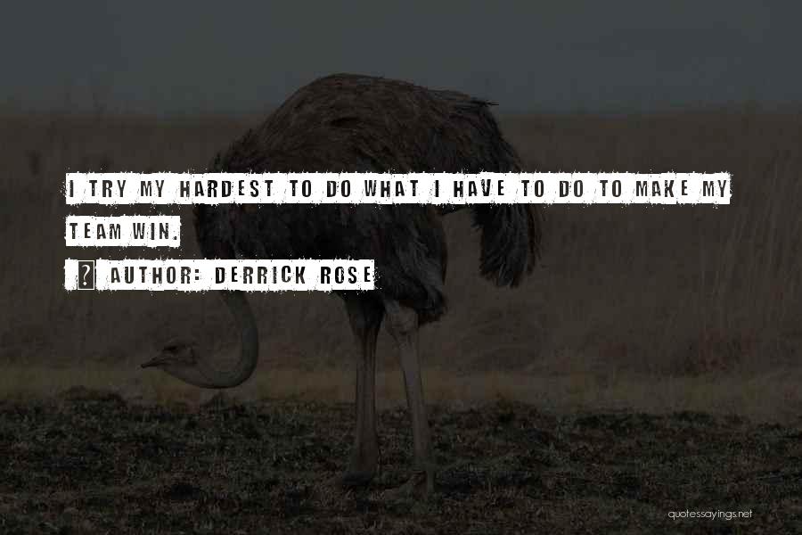 Derrick Rose Quotes: I Try My Hardest To Do What I Have To Do To Make My Team Win.