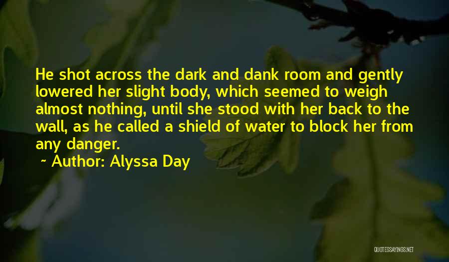 Alyssa Day Quotes: He Shot Across The Dark And Dank Room And Gently Lowered Her Slight Body, Which Seemed To Weigh Almost Nothing,