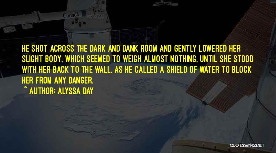 Alyssa Day Quotes: He Shot Across The Dark And Dank Room And Gently Lowered Her Slight Body, Which Seemed To Weigh Almost Nothing,