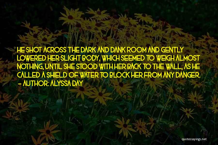 Alyssa Day Quotes: He Shot Across The Dark And Dank Room And Gently Lowered Her Slight Body, Which Seemed To Weigh Almost Nothing,