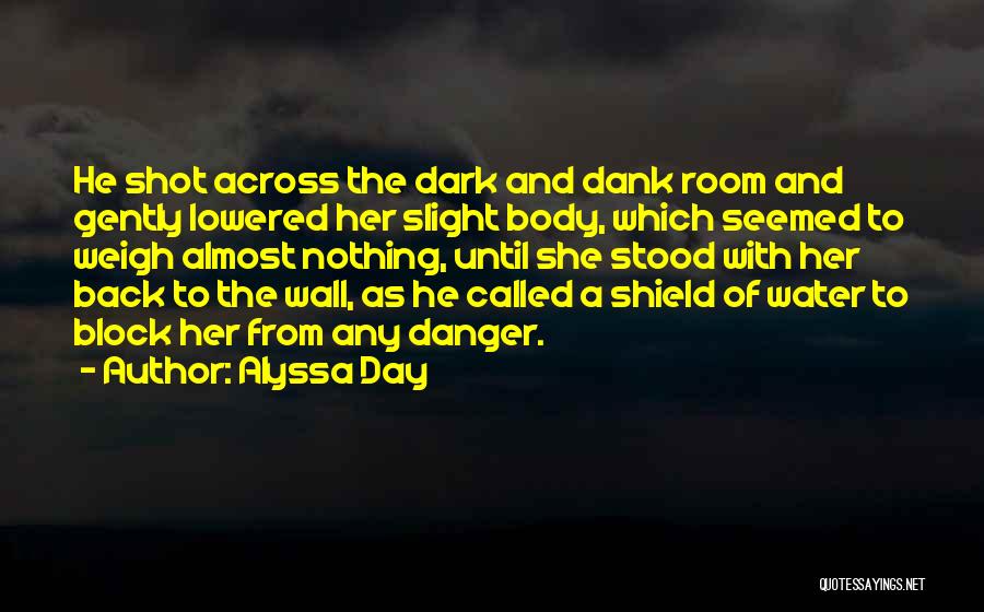 Alyssa Day Quotes: He Shot Across The Dark And Dank Room And Gently Lowered Her Slight Body, Which Seemed To Weigh Almost Nothing,