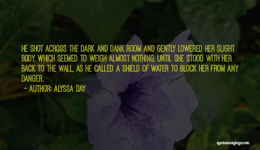 Alyssa Day Quotes: He Shot Across The Dark And Dank Room And Gently Lowered Her Slight Body, Which Seemed To Weigh Almost Nothing,