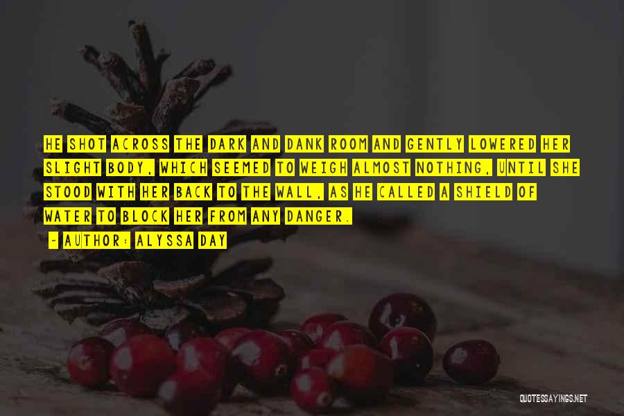 Alyssa Day Quotes: He Shot Across The Dark And Dank Room And Gently Lowered Her Slight Body, Which Seemed To Weigh Almost Nothing,