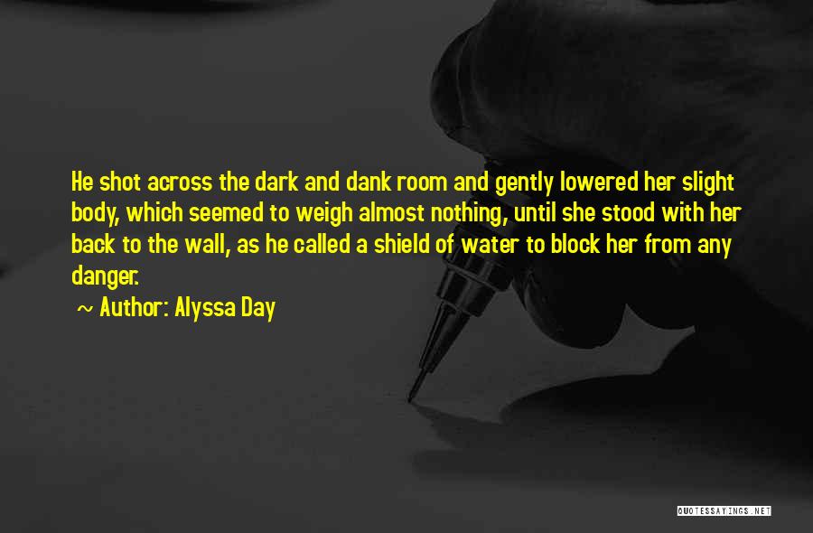 Alyssa Day Quotes: He Shot Across The Dark And Dank Room And Gently Lowered Her Slight Body, Which Seemed To Weigh Almost Nothing,