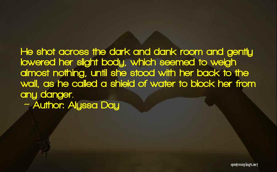 Alyssa Day Quotes: He Shot Across The Dark And Dank Room And Gently Lowered Her Slight Body, Which Seemed To Weigh Almost Nothing,