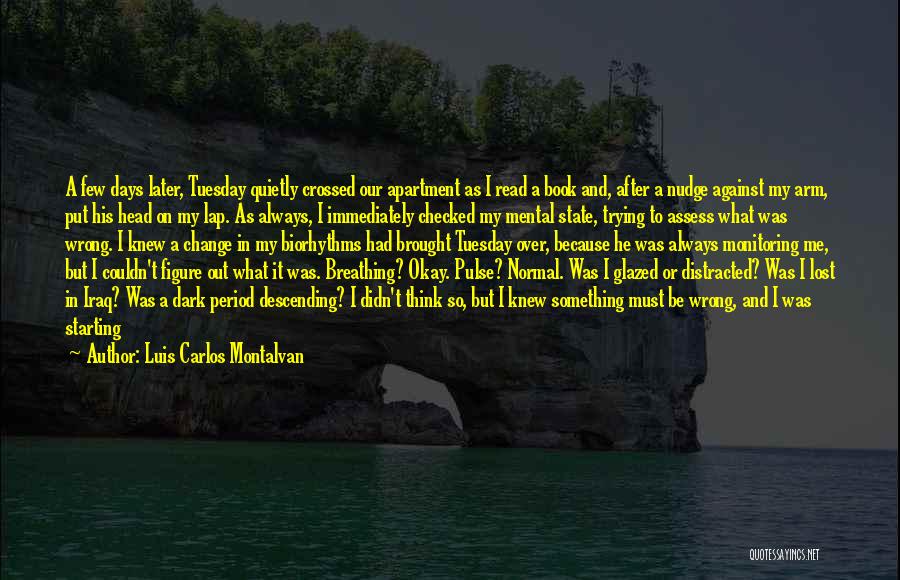 Luis Carlos Montalvan Quotes: A Few Days Later, Tuesday Quietly Crossed Our Apartment As I Read A Book And, After A Nudge Against My