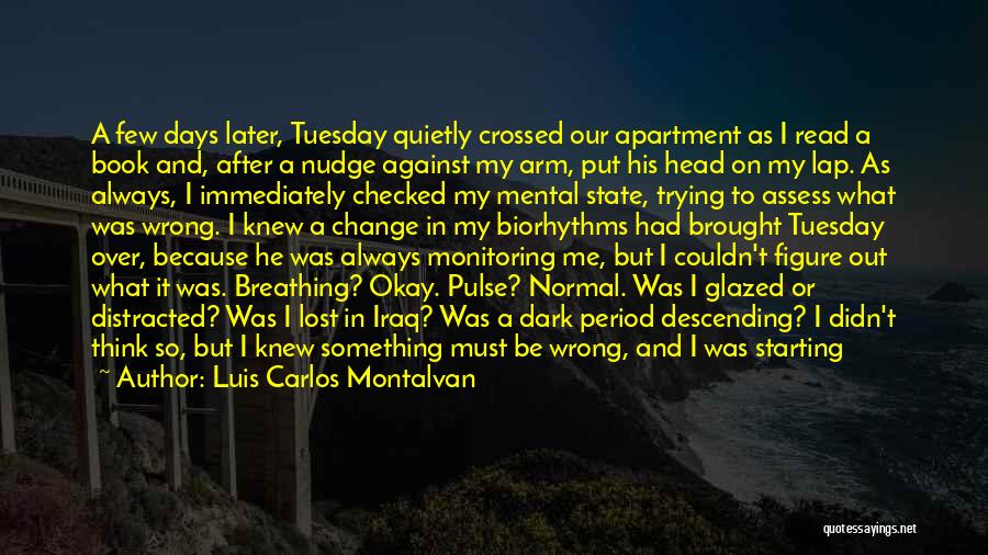 Luis Carlos Montalvan Quotes: A Few Days Later, Tuesday Quietly Crossed Our Apartment As I Read A Book And, After A Nudge Against My