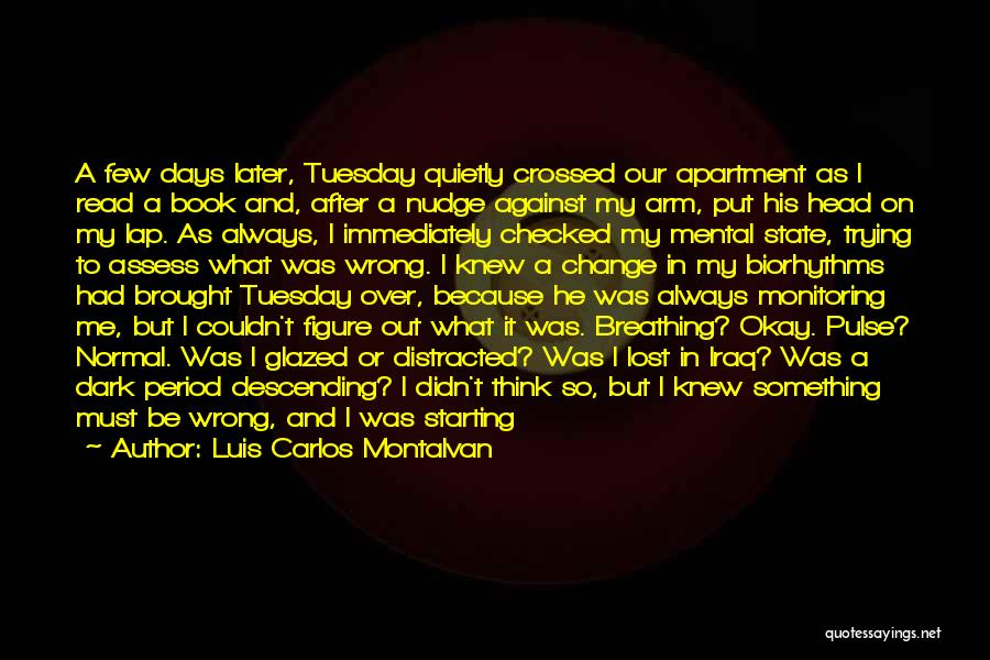 Luis Carlos Montalvan Quotes: A Few Days Later, Tuesday Quietly Crossed Our Apartment As I Read A Book And, After A Nudge Against My