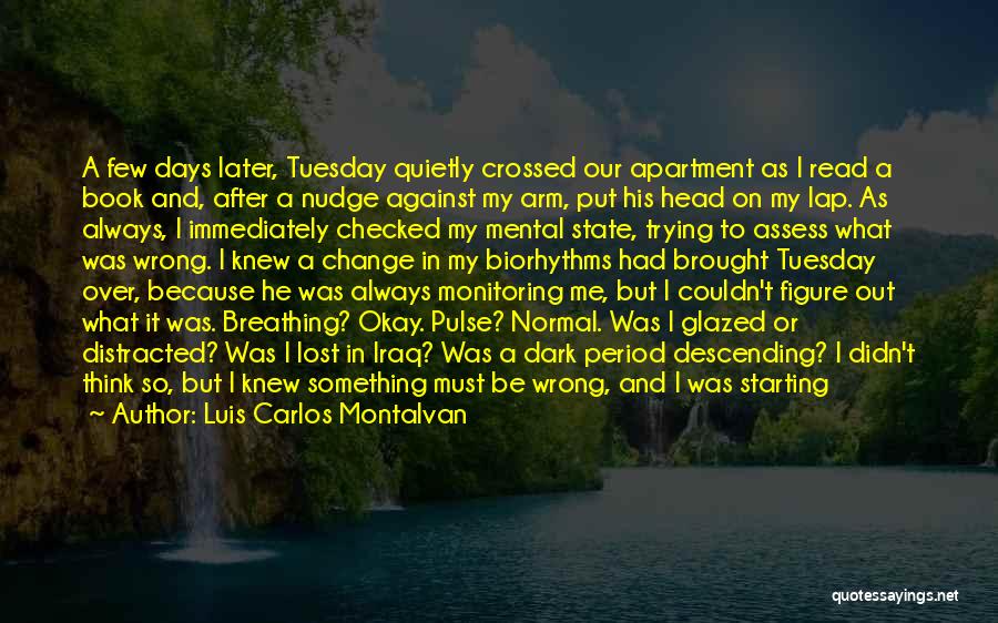 Luis Carlos Montalvan Quotes: A Few Days Later, Tuesday Quietly Crossed Our Apartment As I Read A Book And, After A Nudge Against My