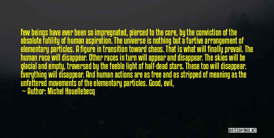 Michel Houellebecq Quotes: Few Beings Have Ever Been So Impregnated, Pierced To The Core, By The Conviction Of The Absolute Futility Of Human