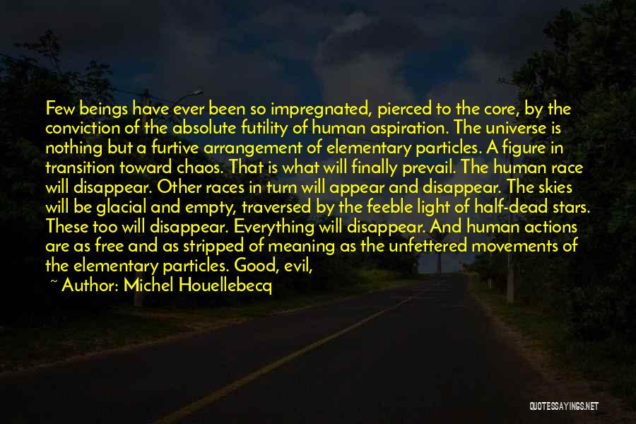 Michel Houellebecq Quotes: Few Beings Have Ever Been So Impregnated, Pierced To The Core, By The Conviction Of The Absolute Futility Of Human