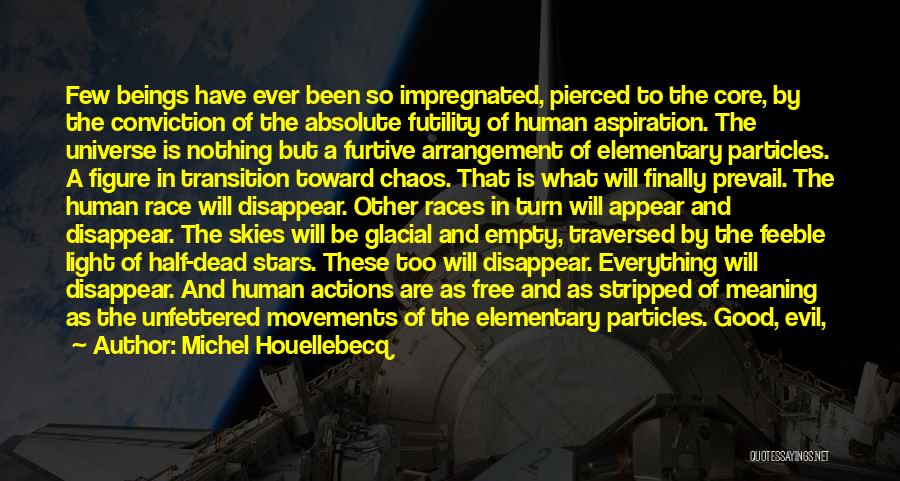 Michel Houellebecq Quotes: Few Beings Have Ever Been So Impregnated, Pierced To The Core, By The Conviction Of The Absolute Futility Of Human