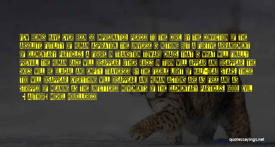 Michel Houellebecq Quotes: Few Beings Have Ever Been So Impregnated, Pierced To The Core, By The Conviction Of The Absolute Futility Of Human