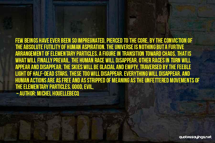 Michel Houellebecq Quotes: Few Beings Have Ever Been So Impregnated, Pierced To The Core, By The Conviction Of The Absolute Futility Of Human