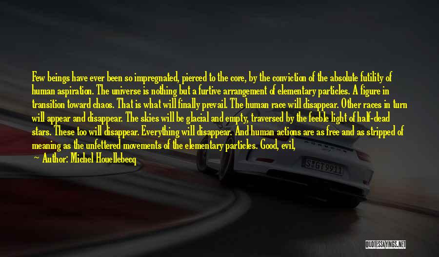 Michel Houellebecq Quotes: Few Beings Have Ever Been So Impregnated, Pierced To The Core, By The Conviction Of The Absolute Futility Of Human