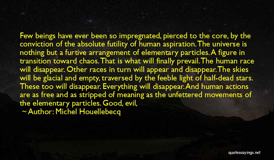 Michel Houellebecq Quotes: Few Beings Have Ever Been So Impregnated, Pierced To The Core, By The Conviction Of The Absolute Futility Of Human