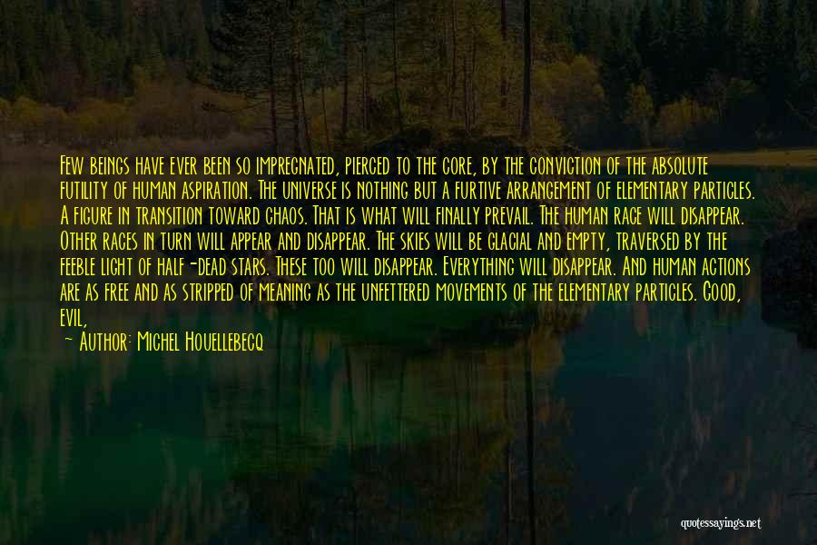 Michel Houellebecq Quotes: Few Beings Have Ever Been So Impregnated, Pierced To The Core, By The Conviction Of The Absolute Futility Of Human