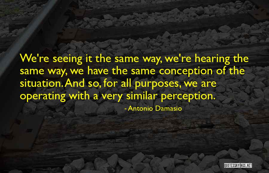 1780 Maria Quotes By Antonio Damasio 1780 Maria Quotes By Antonio Damasio